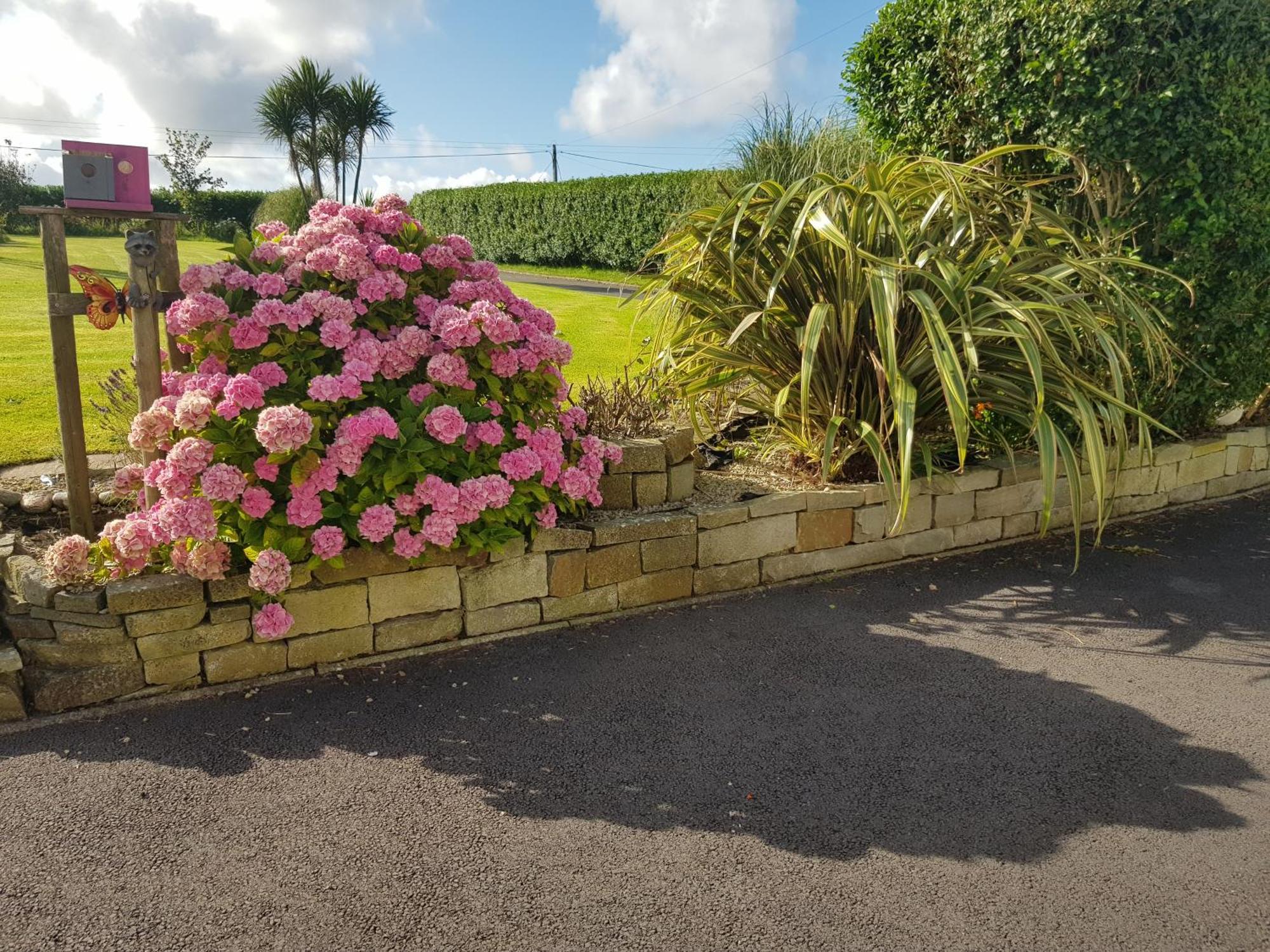 Sunrise View Bed & Breakfast Castlemagee Exterior photo